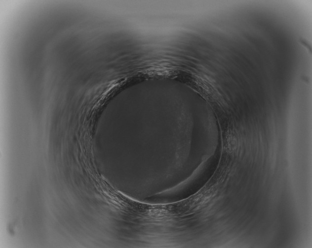 X0000099551297200805231141