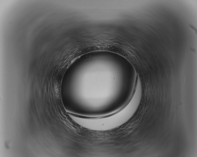 X0000099551298200805231141