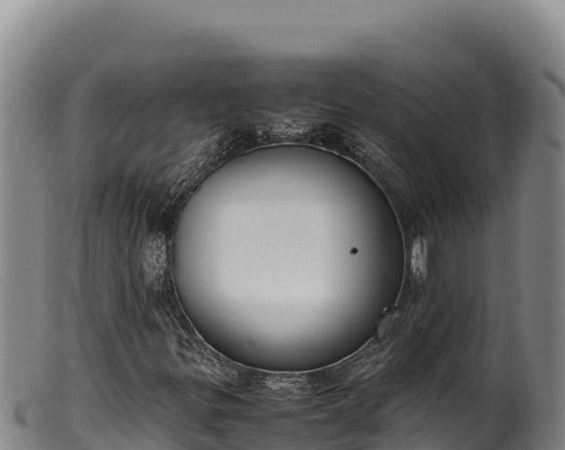 X0000099551299200805231141