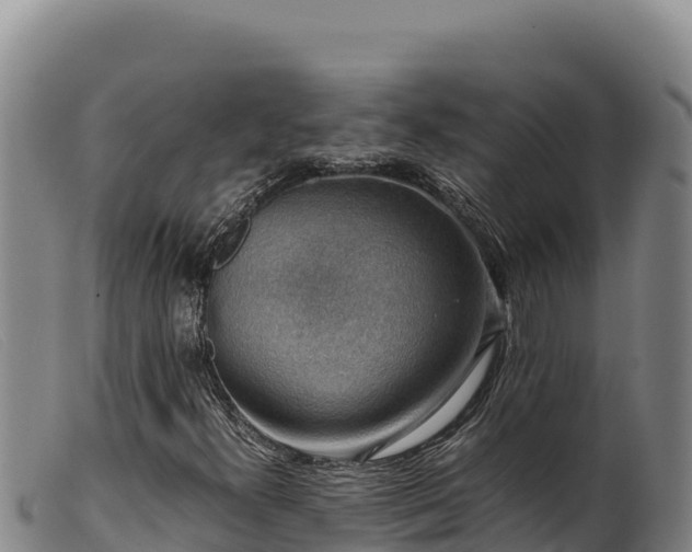 X0000099551300200805231141