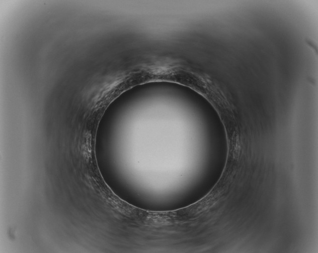 X0000099551301200805231141