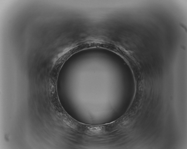 X0000099551303200805231141