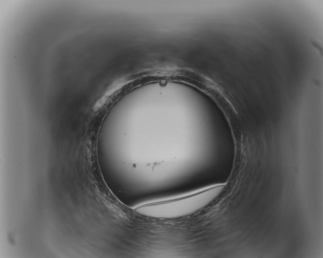 X0000099551304200805231141