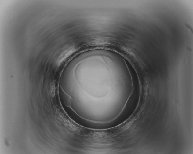 X0000099551306200805231141