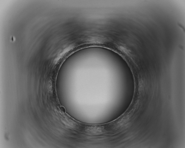 X0000099551307200805231141