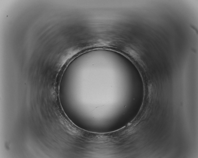 X0000099551308200805231141