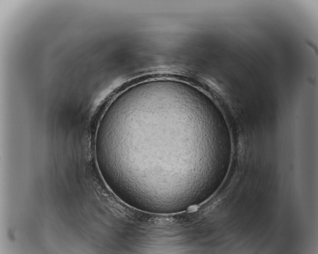 X0000099551310200805231141