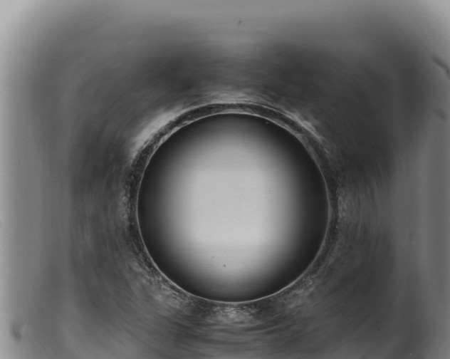 X0000099551311200805231141