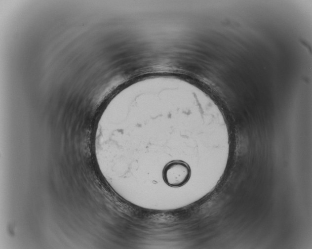 X0000099551314200805231141