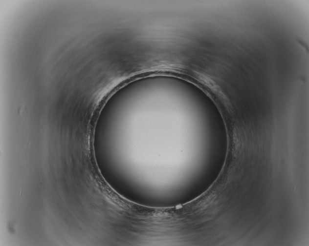 X0000099551316200805231141