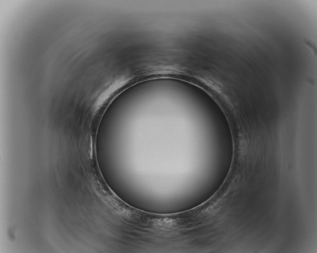 X0000099551317200805231141