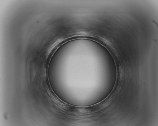 X0000099551318200805231141