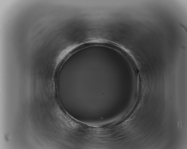 X0000099551319200805231141