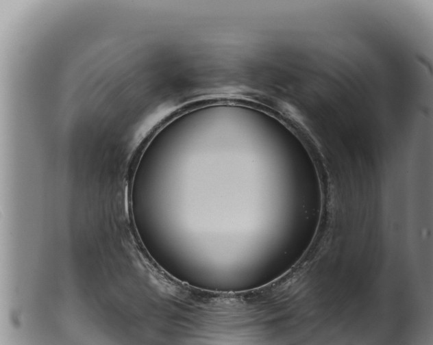 X0000099551320200805231141