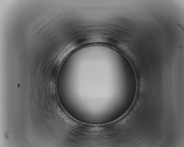 X0000099551321200805231141