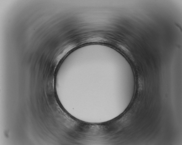 X0000099551322200805231141