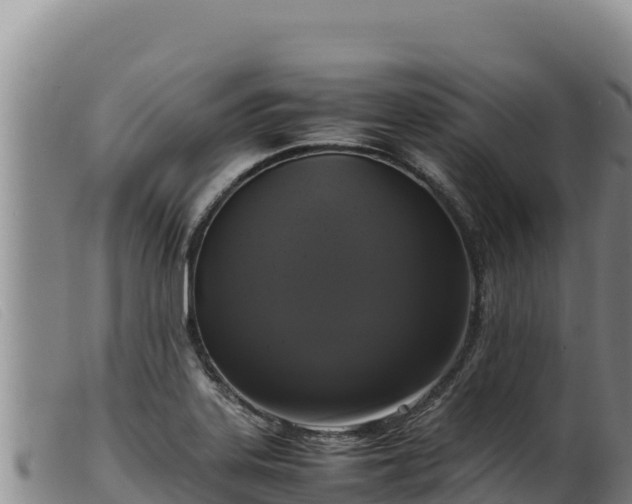 X0000099551323200805231141