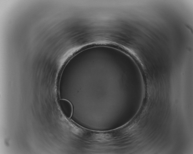 X0000099551327200805231141