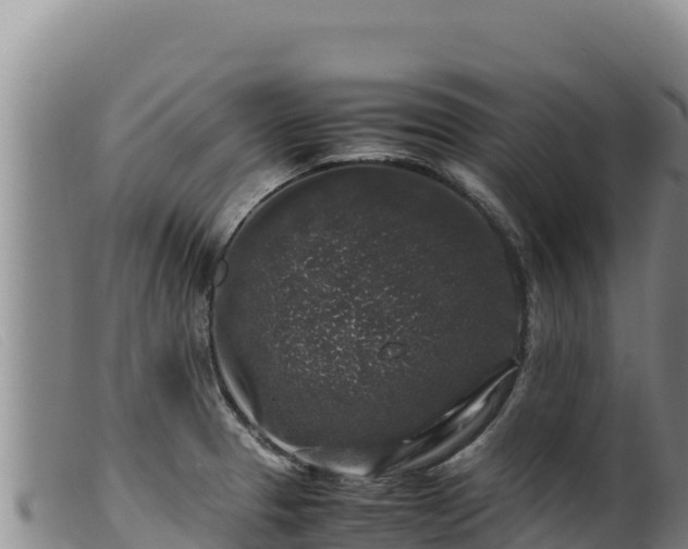 X0000099551329200805231141