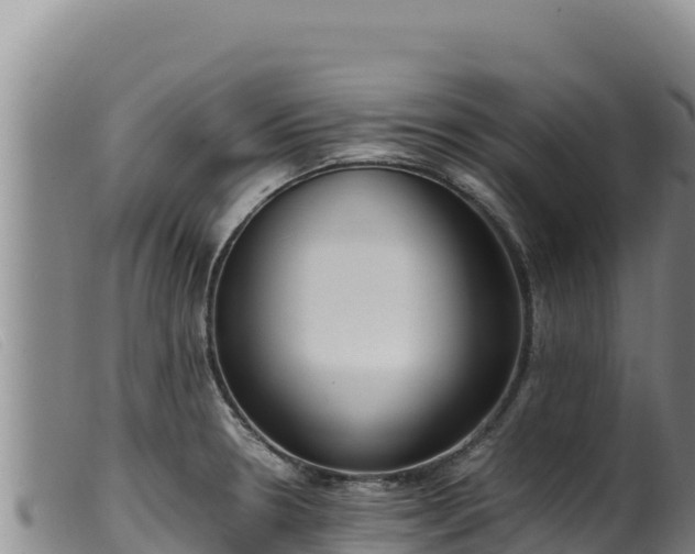 X0000099551330200805231141