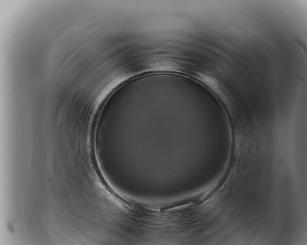 X0000099551331200805231141