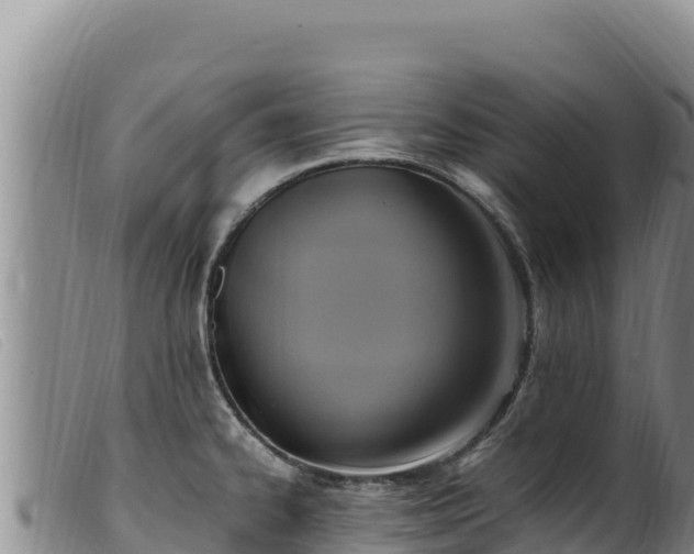 X0000099551334200805231141