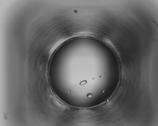 X0000099551336200805231141