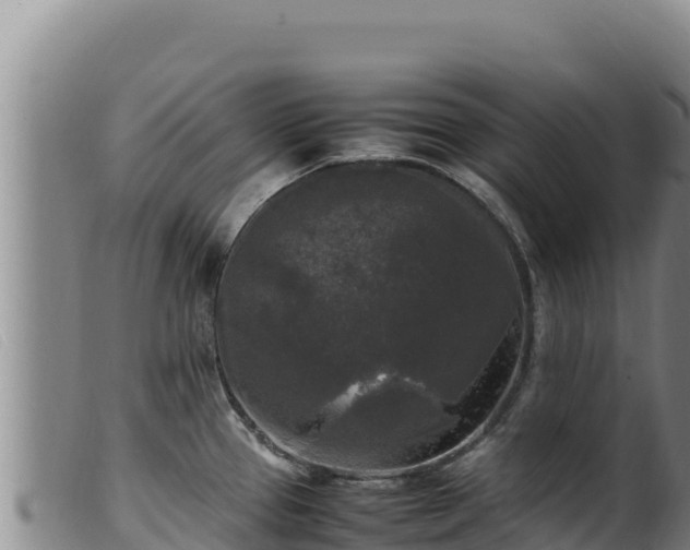 X0000099551337200805231142