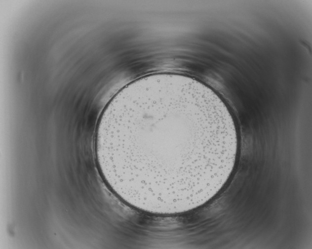 X0000099551338200805231142