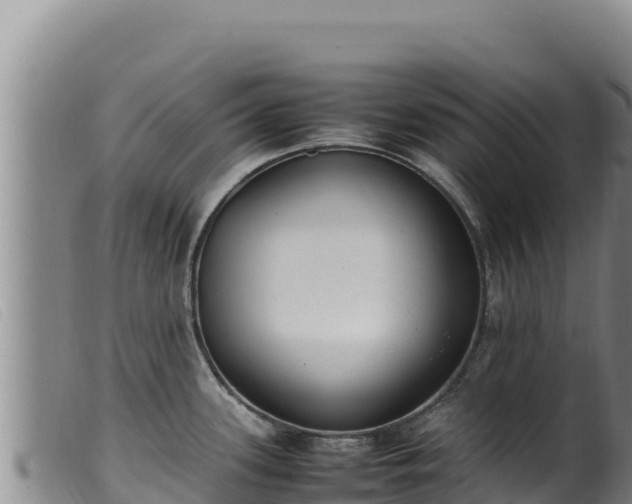 X0000099551339200805231142