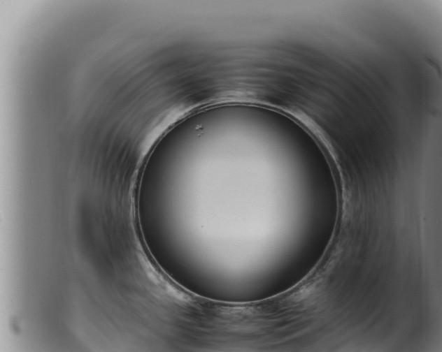 X0000099551341200805231142