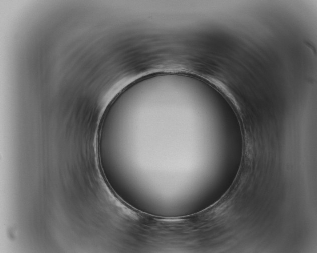 X0000099551343200805231142