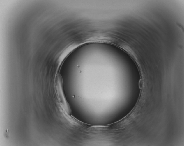 X0000099551344200805231142