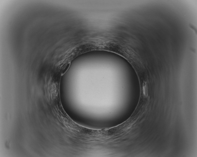 X0000099551347200805231141