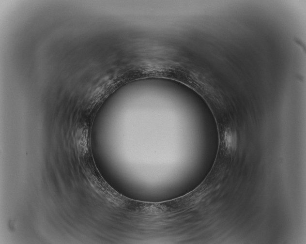 X0000099551348200805231141