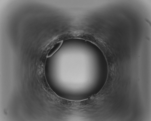 X0000099551349200805231141