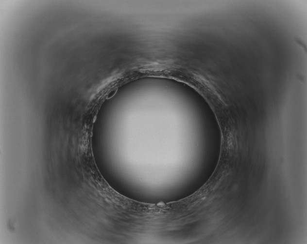 X0000099551350200805231141