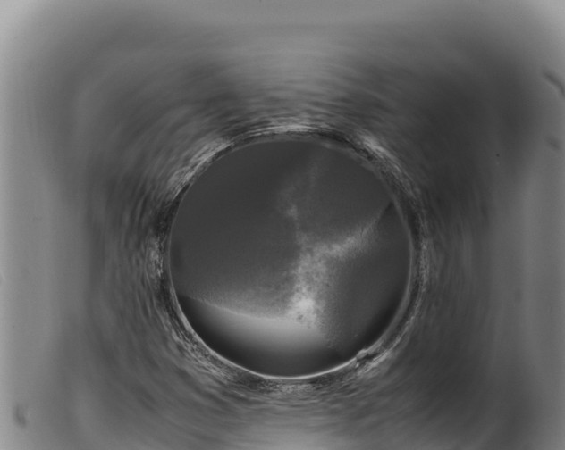 X0000099551353200805231141