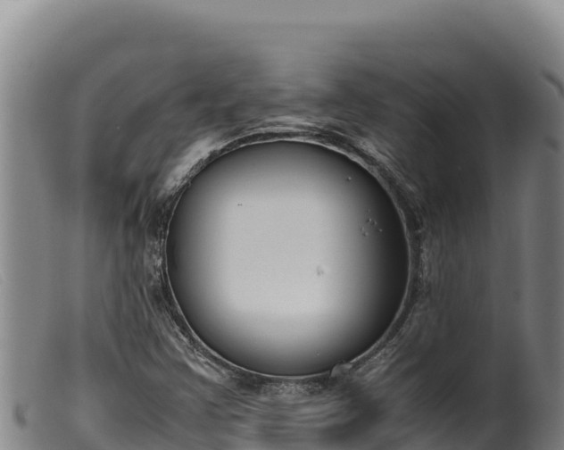 X0000099551355200805231141