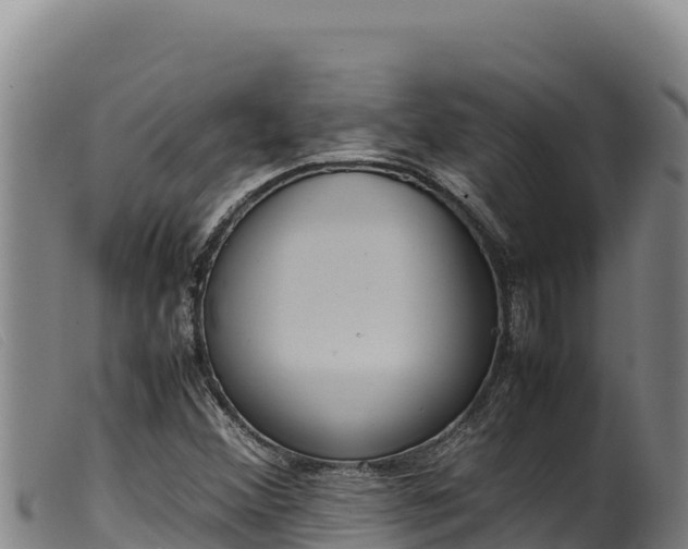 X0000099551356200805231141