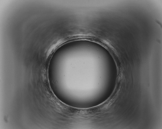 X0000099551357200805231141