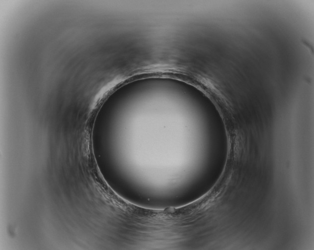 X0000099551358200805231141