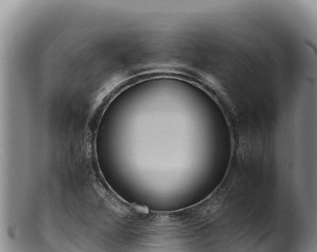 X0000099551360200805231141