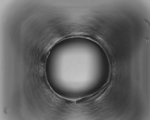 X0000099551361200805231141