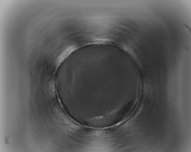 X0000099551362200805231141