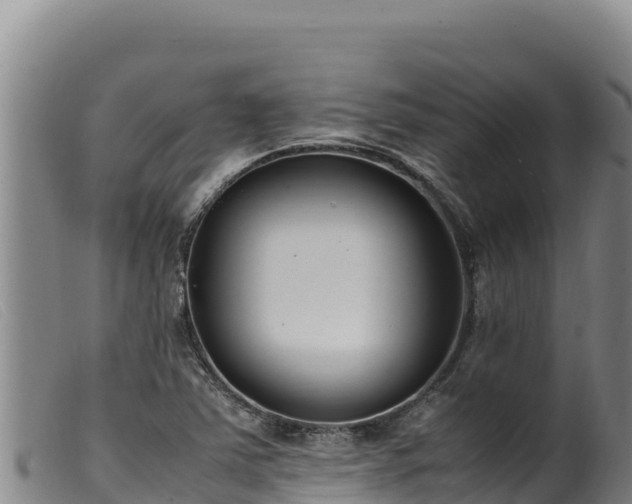 X0000099551363200805231141