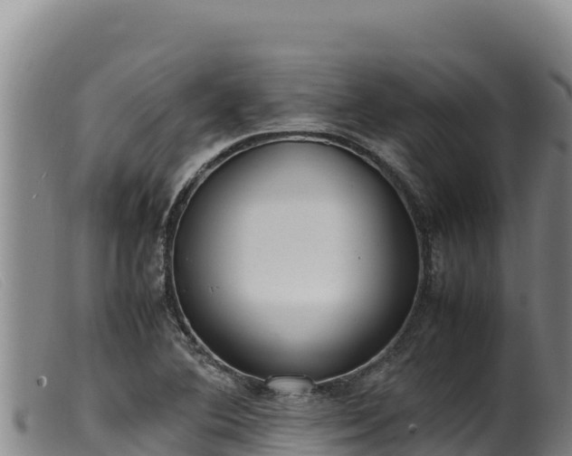 X0000099551364200805231141