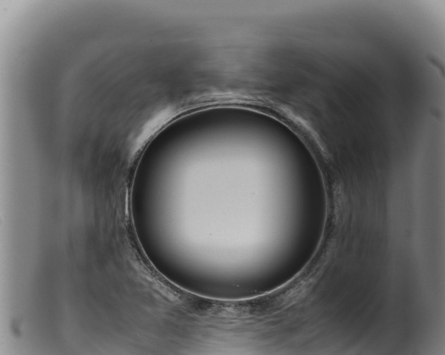 X0000099551365200805231141