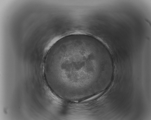 X0000099551367200805231141