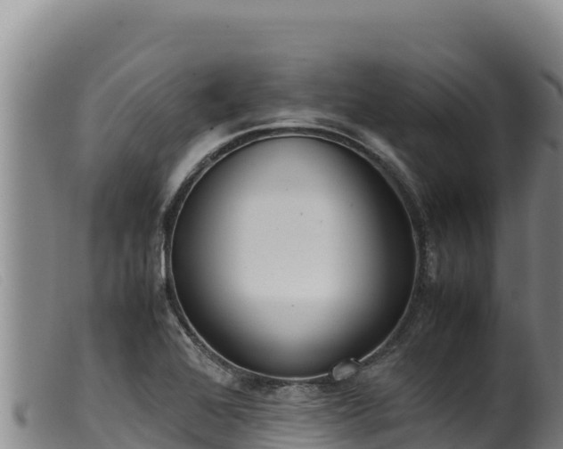 X0000099551368200805231141